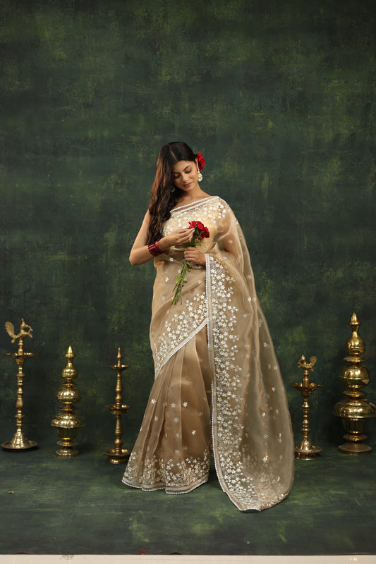 Nishka - Festive Organza