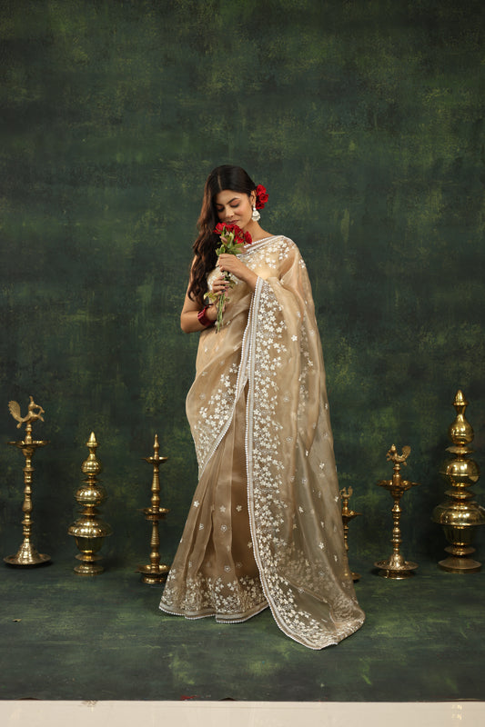 Nishka - Festive Organza
