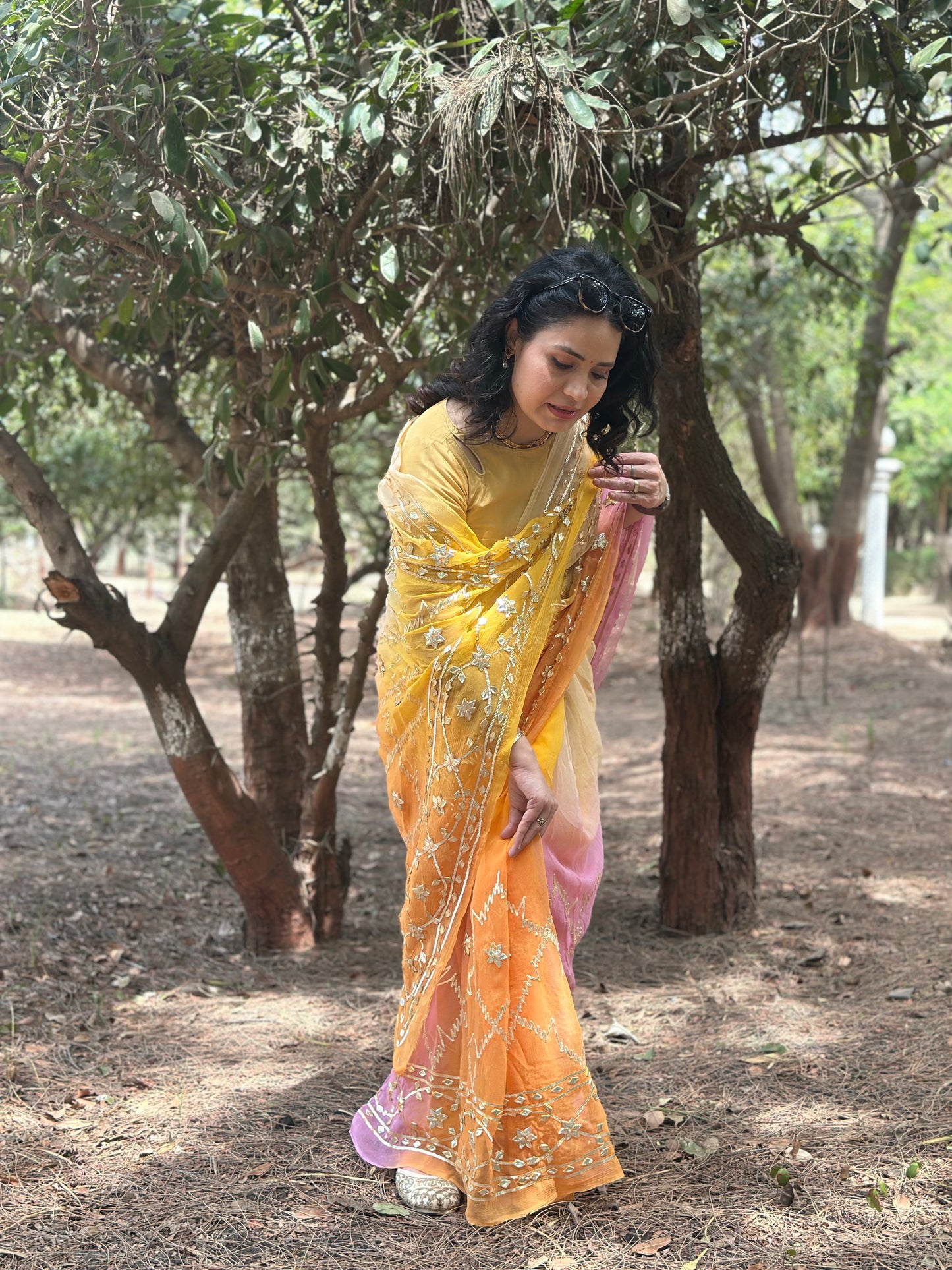 Svarnika - Festive Chiffon